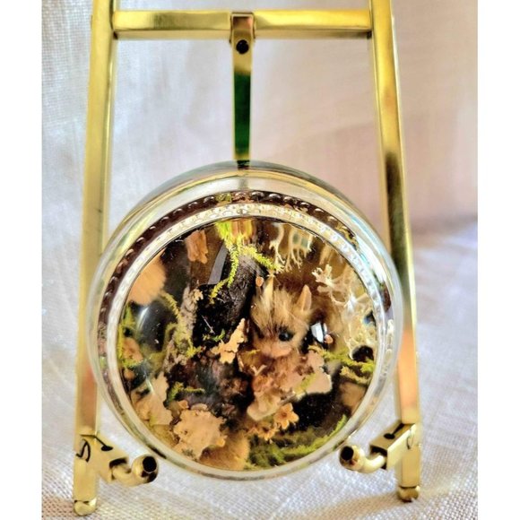 Vintage Lucite Pressed Flower Moss Squirrel Paperweight - Picture 2 of 10